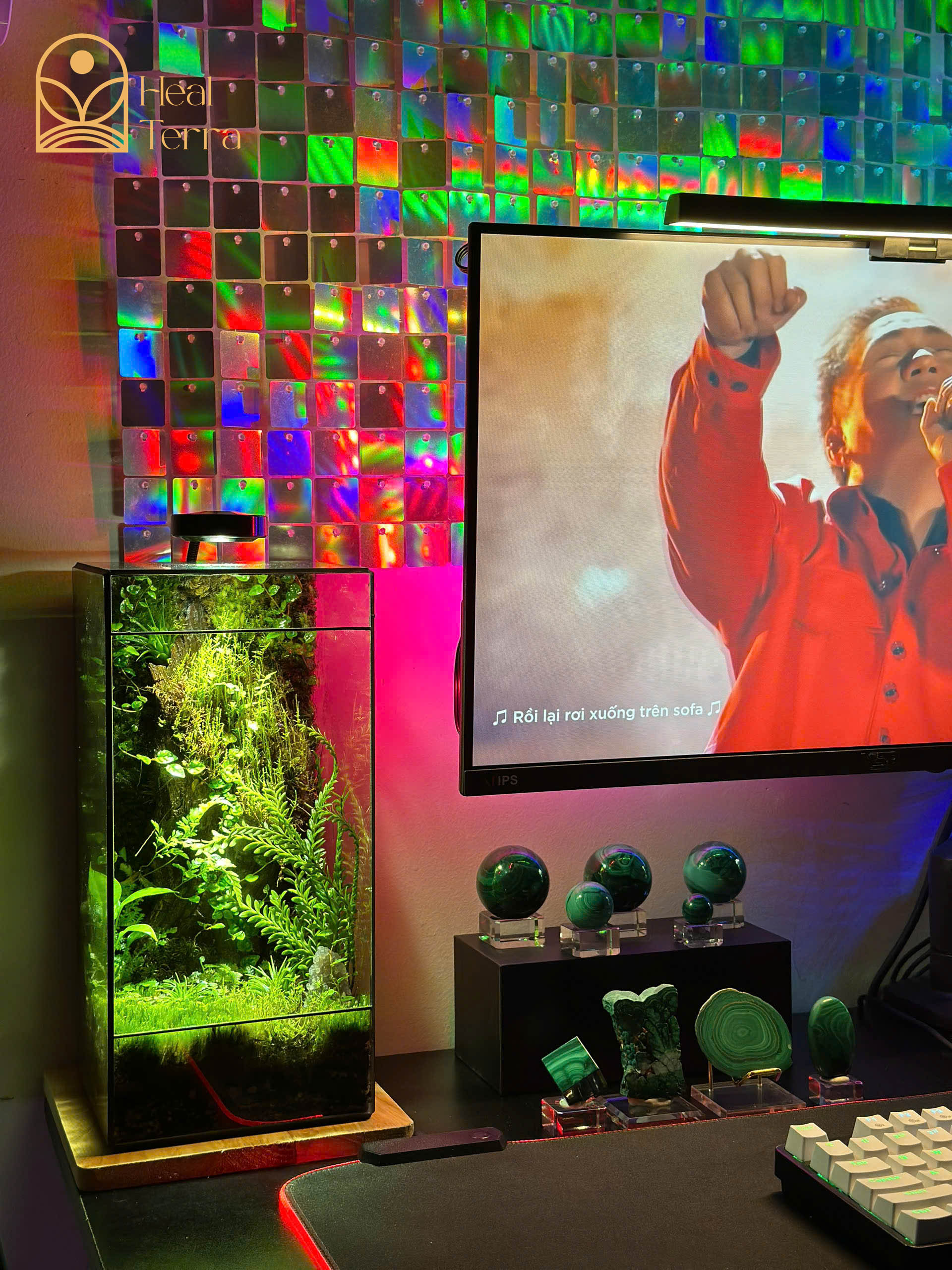 tinh-thach-lam-terrarium