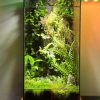 tinh-thach-lam-terrarium