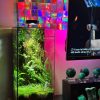 tinh-thach-lam-terrarium
