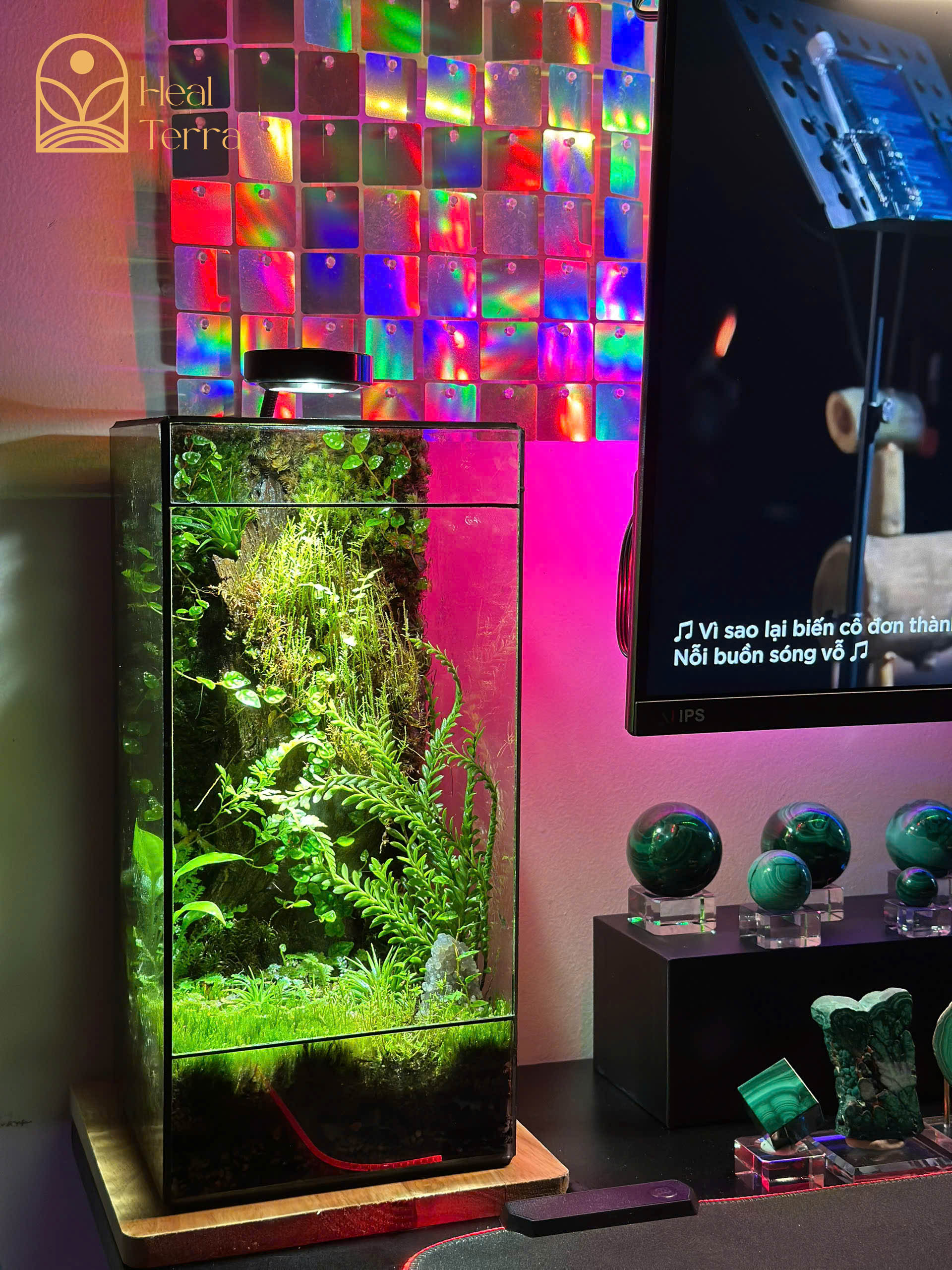 tinh-thach-lam-terrarium