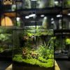 terrarium-noi-huou-dung-chan