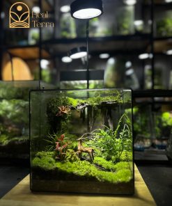 terrarium-noi-huou-dung-chan