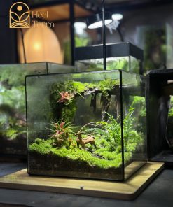 terrarium-noi-huou-dung-chan