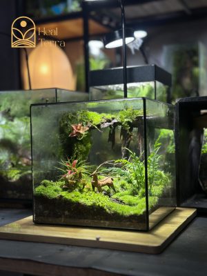 terrarium-noi-huou-dung-chan