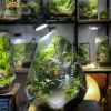 luc-nguyen-thach-canh-terrarium