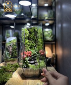 Terrarium-bao-thach-diep-lam