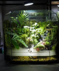 terrarium-gundam-di-san-hau-the