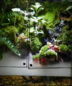 terrarium-gundam-di-san-hau-the