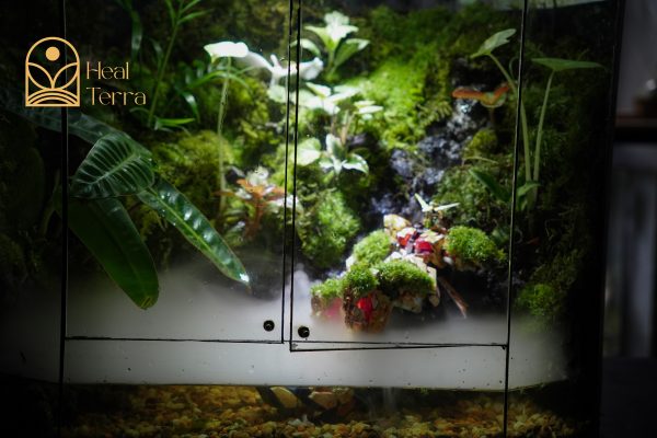 terrarium-gundam-di-san-hau-the