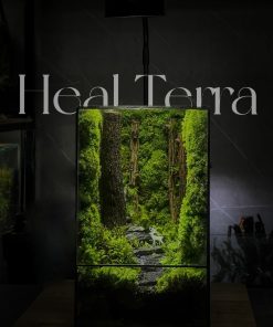 deer-lost-in-the-forest-healterrra2