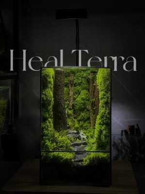 deer-lost-in-the-forest-healterrra2