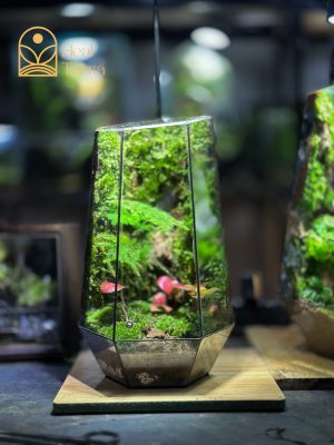 Quà tặng doanh nghiệp Terrarium Thiền Lâm có xuất hóa đơn VAT.