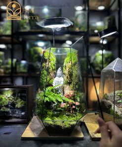 be-kinh-da-giac-terrarium-bo-tat-quan-am-35cm-trang-tri-ban-lam-viec-2