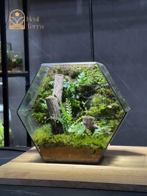 terrarium-tinh-ky-thach-lam-heal-terra