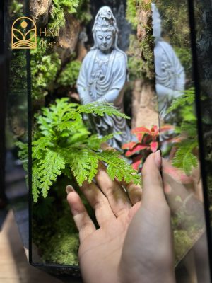 tuong-bo-tat-quan-am-giua-vach-da-reu-xanh-trong-be-terrarium-heal-terra-1