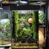 sun-kissed-landscape-terrarium