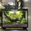 terrarium-ban-nguyen-hoi-tho-cua-dai-ngan-heal-terra