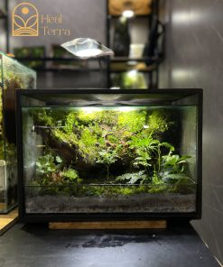 terrarium-ban-nguyen-hoi-tho-cua-dai-ngan-heal-terra