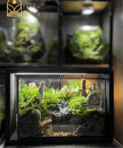 terrarium-tieng-vong-dai-ngan-4