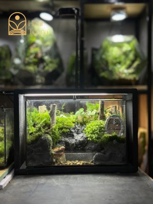 terrarium-tieng-vong-dai-ngan