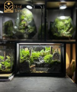 terrarium-tieng-vong-dai-ngan-1