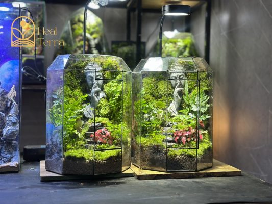 Tượng Phật tĩnh tại: Ngài đứng đó, giữa rừng già, tay đưa lên môi như một lời nhắc nhở nhẹ nhàng: "Hãy tĩnh lặng lại. Mọi câu trả lời đều đã có sẵn bên trong bạn."