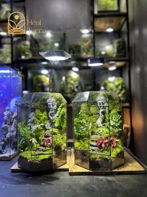 Terrarium-phat-tai-tam-1