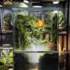 Terrarium-huyen-coc