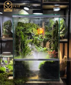 Terrarium-huyen-coc