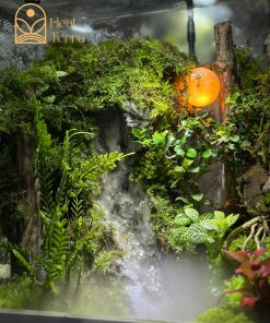 terrarium-huyen-coc-terrarium-thac-nuoc-mini-cao-cap-de-ban