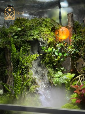 terrarium-huyen-coc-terrarium-thac-nuoc-mini-cao-cap-de-ban