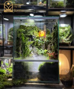 be-terrarium-huyen-coc-layout-rung-djung-co-thac-nuoc-va-suong-mu-trang-tri-phong-lam-viec-cao-cap-tai-heal-terra