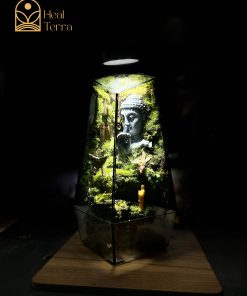 be-terrarium-tinh-tam-vien-dang-tru-dung