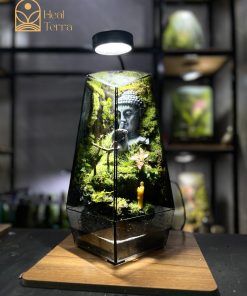 be-terrarium-tinh-tam-vien-dang-tru-dung-co-tuong-phat-va-den-led-trang-tri-heal-terra