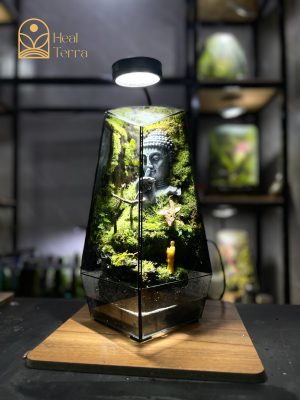 be-terrarium-tinh-tam-vien-dang-tru-dung-co-tuong-phat-va-den-led-trang-tri-heal-terra