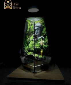 be-terrarium-tinh-tam-vien-dang-tru-dung