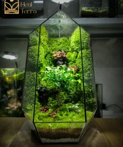 terrarium-inner-child
