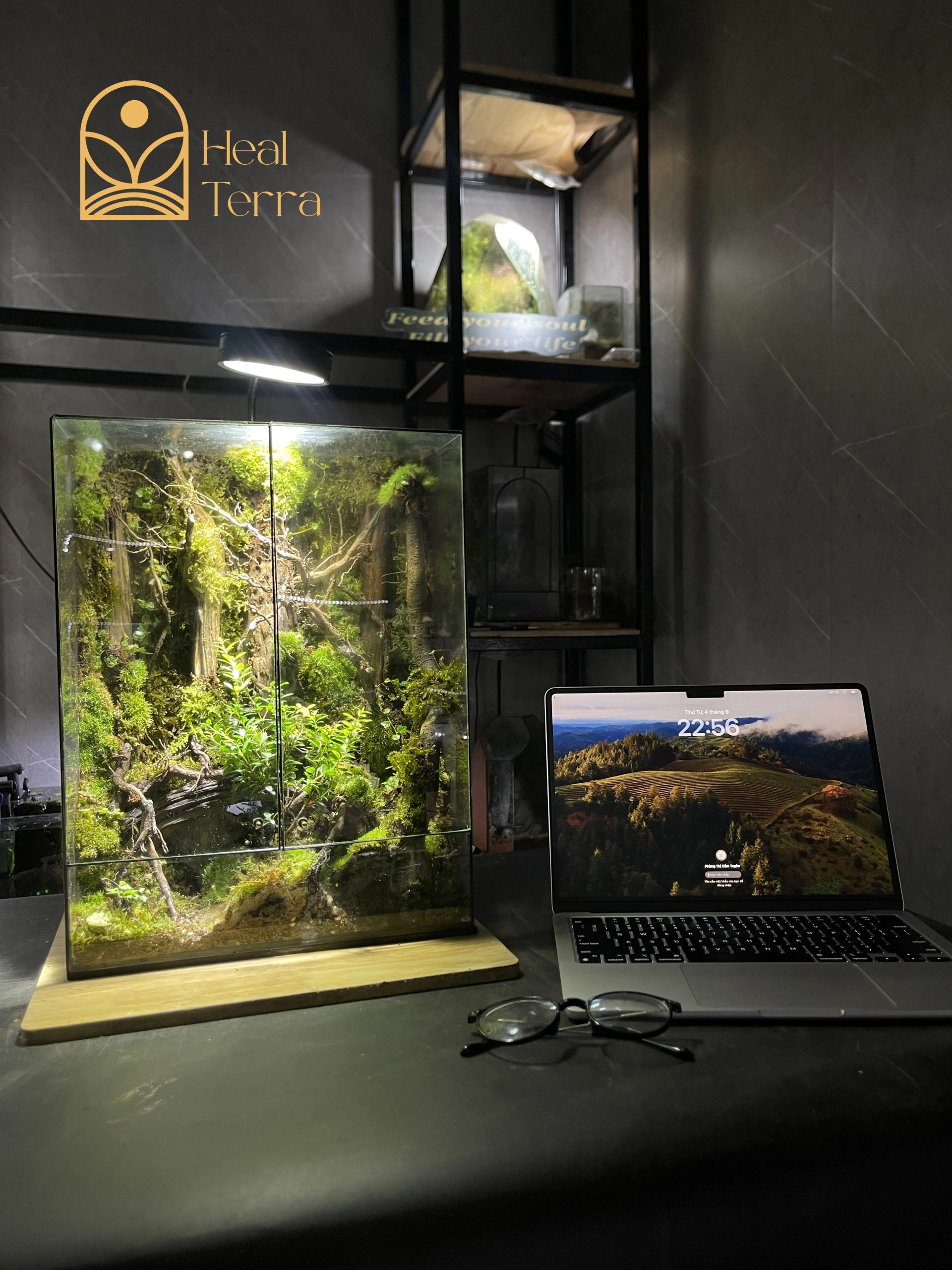 Thung Lũng Xanh - Terrarium Cửa Mở 2 Cánh 25x20x40 - Ảnh 3