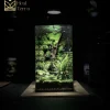 terrarium-vu-tru-xanh
