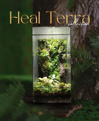 be-terrarium-rung-nguyen-sinh-dang-dung-30cm-layout-jungle-voi-lua-va-reu-xanh-heal-terra