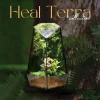 terrarium-rung-nho-15x28cm-goc-binh-yen-toi-gian