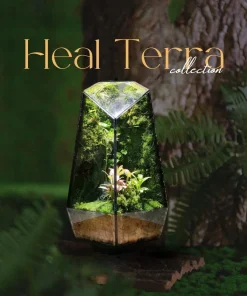 terrarium-rung-nho-15x28cm-goc-binh-yen-toi-gian