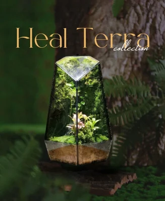 terrarium-rung-nho-15x28cm-goc-binh-yen-toi-gian
