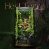be-terrarium-hoc-cay-xanh-voi-nhanh-cay-hong-cam-noi-bat-tren-nen-reu-tai-heal-terra
