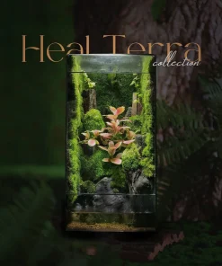 be-terrarium-hoc-cay-xanh-voi-nhanh-cay-hong-cam-noi-bat-tren-nen-reu-tai-heal-terra
