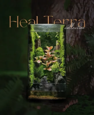 be-terrarium-hoc-cay-xanh-voi-nhanh-cay-hong-cam-noi-bat-tren-nen-reu-tai-heal-terra