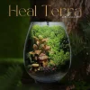 be-terrarium-nha-binh-yen-20cm-layout-nha-mai-la-va-reu-nhung-am-cung