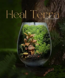 be-terrarium-nha-binh-yen-20cm-layout-nha-mai-la-va-reu-nhung-am-cung
