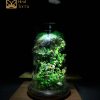 be-terrarium-giot-rung-xanh