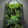inner-child-forest-terrarium